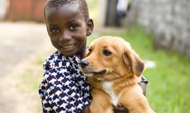 OIPA Liberia brings communities together to protect animals and prevent rabies