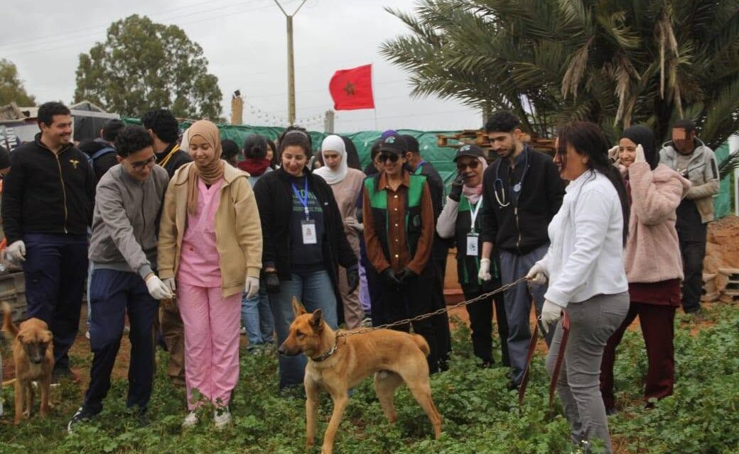 OIPA in Morocco