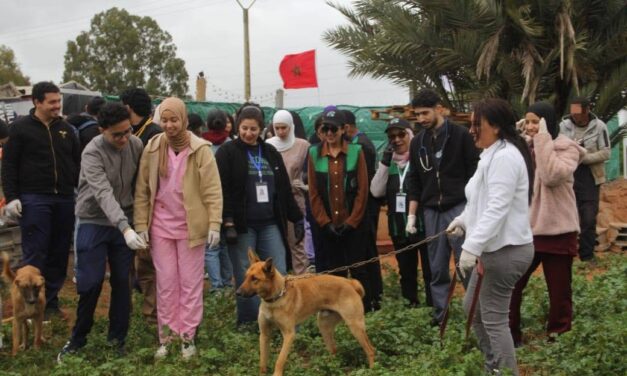 OIPA in Morocco
