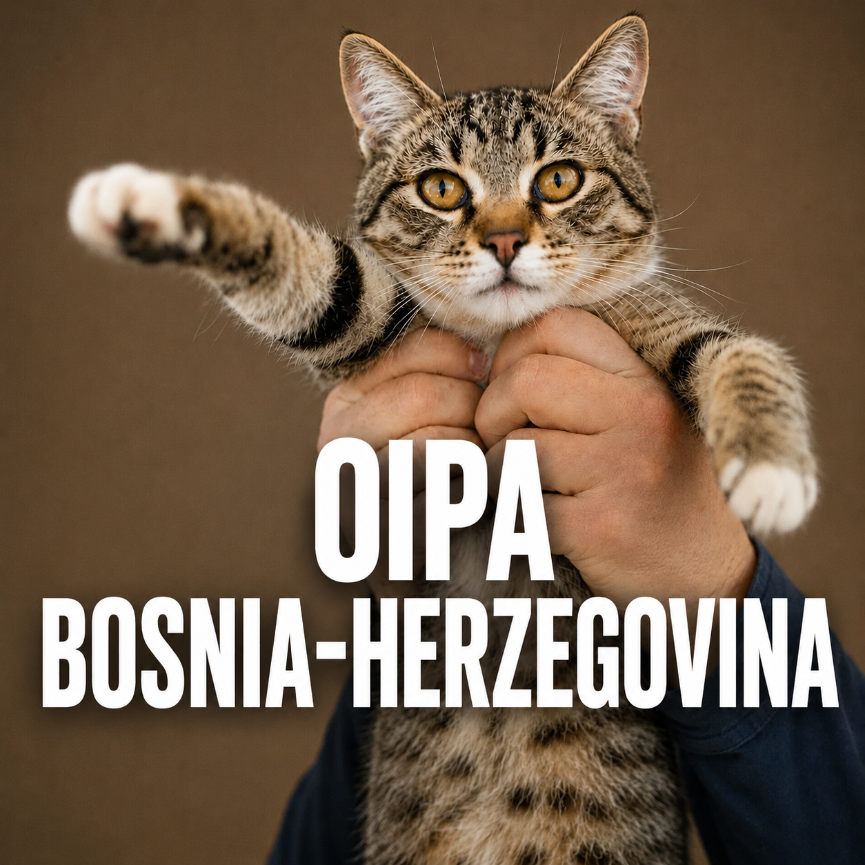 oipa-india