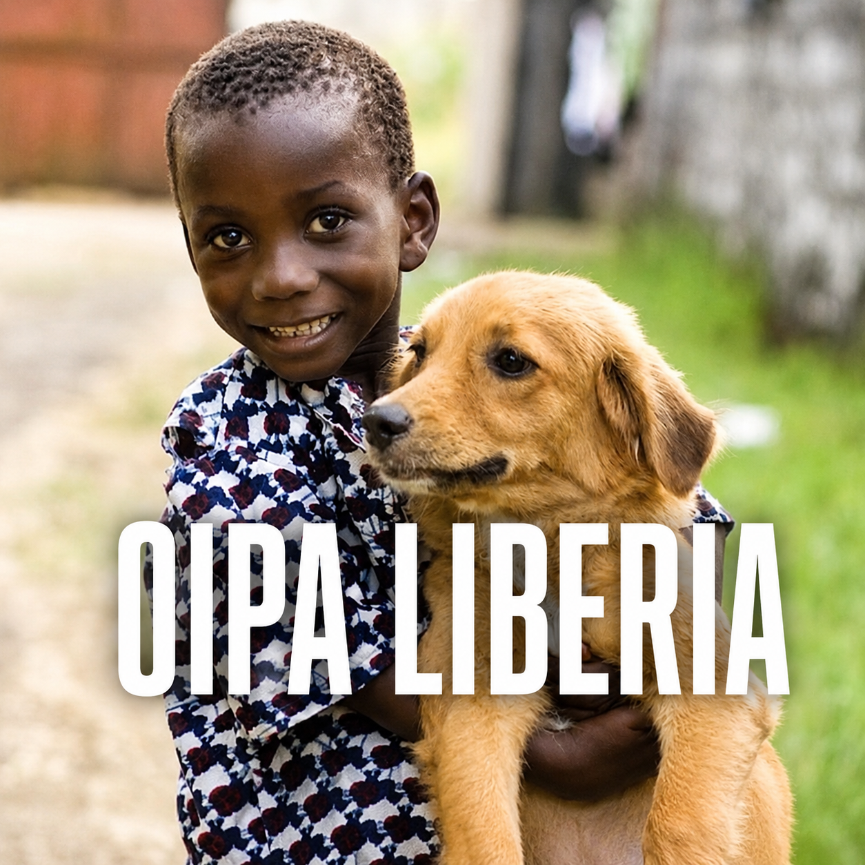 oipa-cameroon