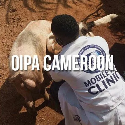 oipa-cameroon
