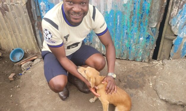 OIPA in Liberia