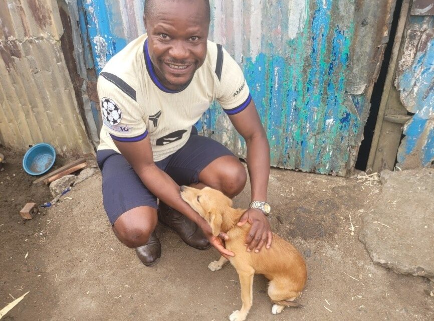 OIPA in Liberia