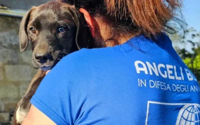 OIPA Italy at the Heart of a New Community Model to Tackle Stray Animals