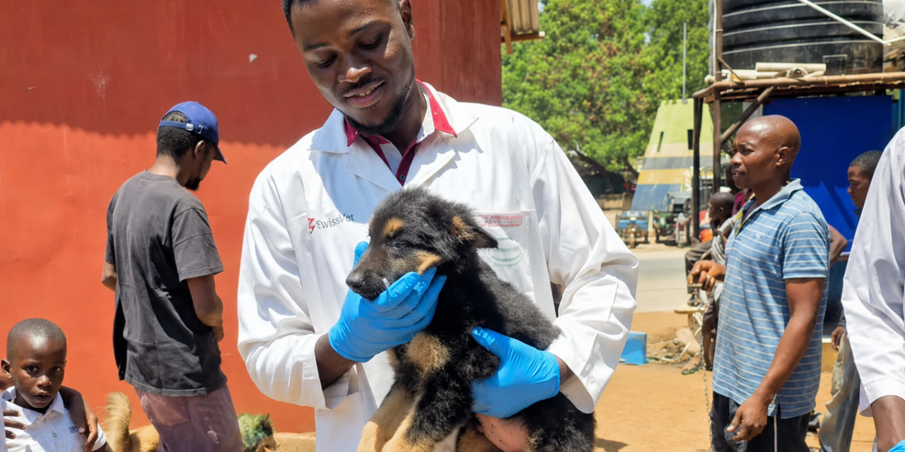 International Dog Day 2026: Different Countries, Different Lives – But Every Dog Deserves Protection